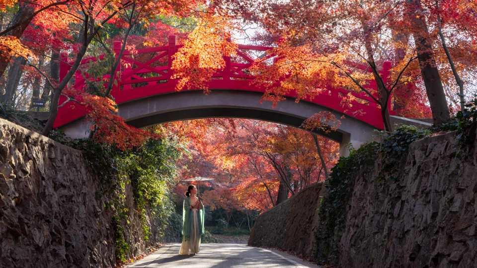 Nanjing in Autumn